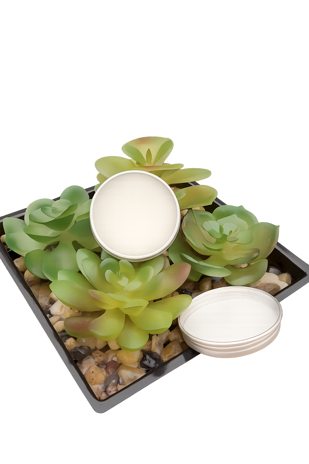 Plant-based Lip Balm Duo