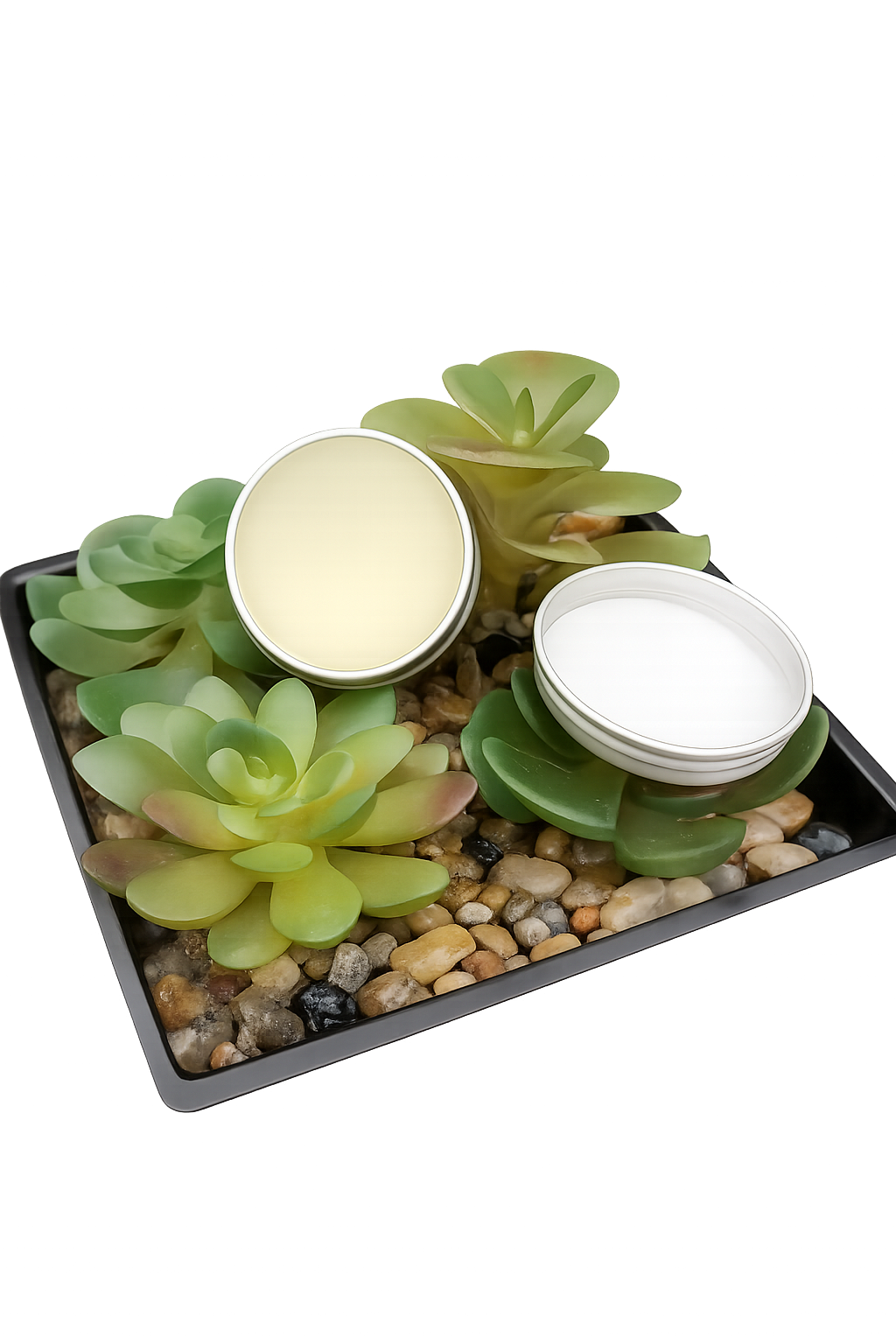 Plant-based Lip Balm Duo